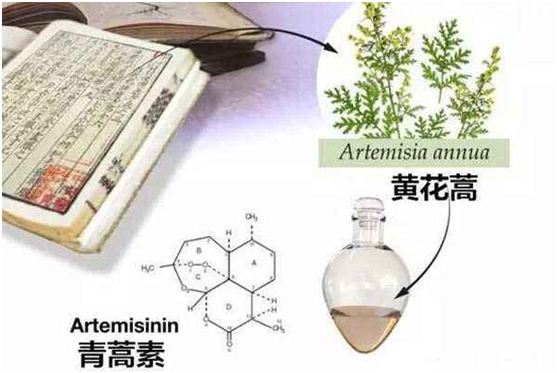 伟德真人登录,伟德游戏官方网站：向中医药看齐，与世界共享中医药文化(图1)